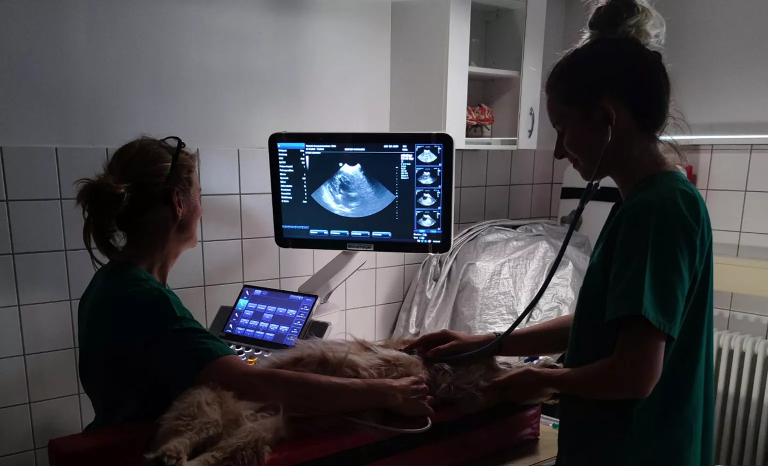 Spezialsprechstunden - Tierklinik Partners, Wehr Spezialsprechstunden - Tierklinik Partners, Wehr