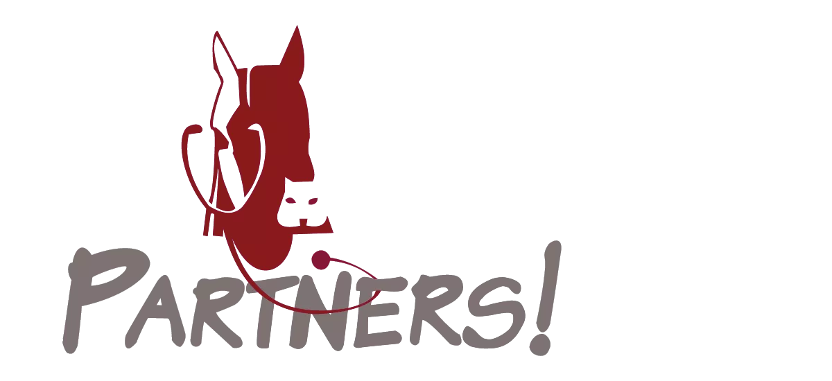 Team Tierklinik Partners Wehr Team Tierklinik Partners Wehr
