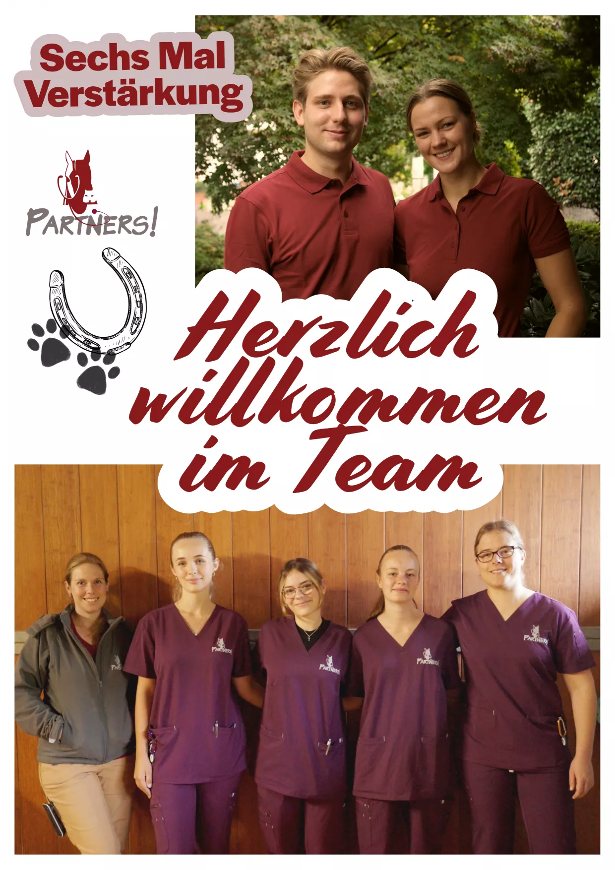 Sechs neue Teammitglieder – herzlich willkommen in unserer Tierklinik! Sechs neue Teammitglieder – herzlich willkommen in unserer Tierklinik!