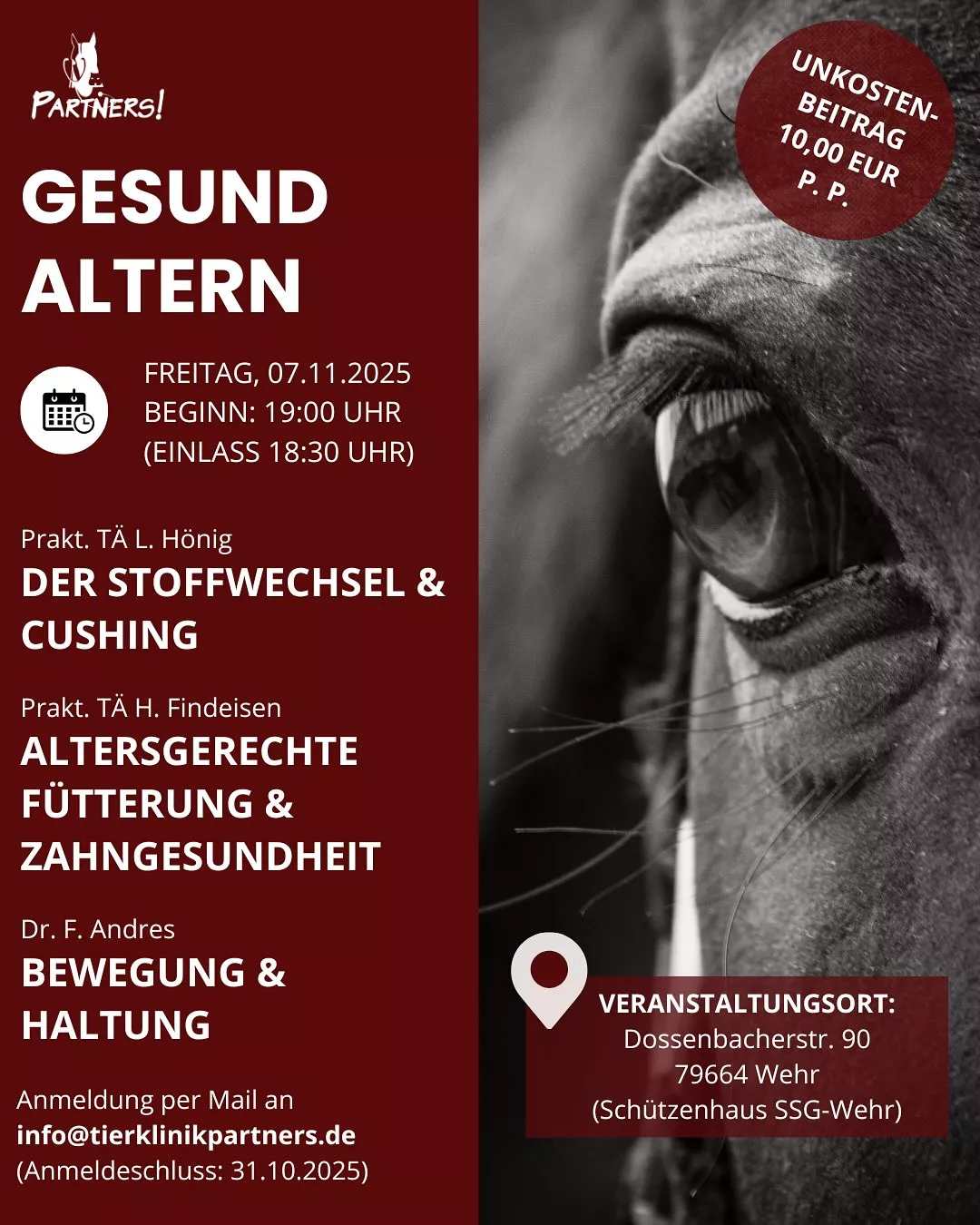 Gesund altern – Pferdesenioren optimal unterstützen Gesund altern – Pferdesenioren optimal unterstützen