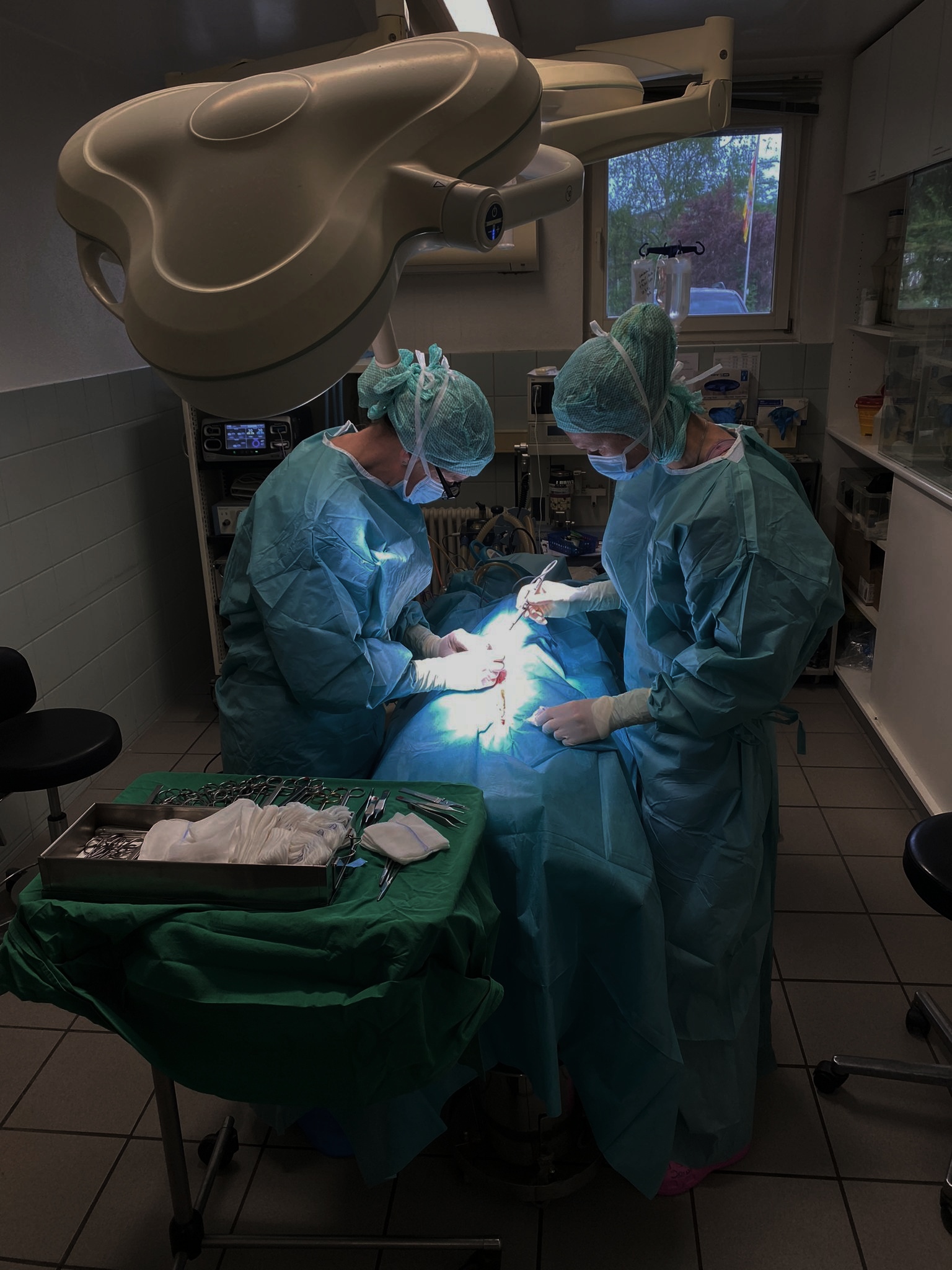 Intensiv- und Notfallmedizin - Tierklinik Partners, Wehr Intensiv- und Notfallmedizin - Tierklinik Partners, Wehr