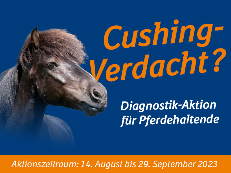 Cushing-Verdacht? Diagnostik-Aktion für Pferdehaltende - 14.8. bis 29.9.2023