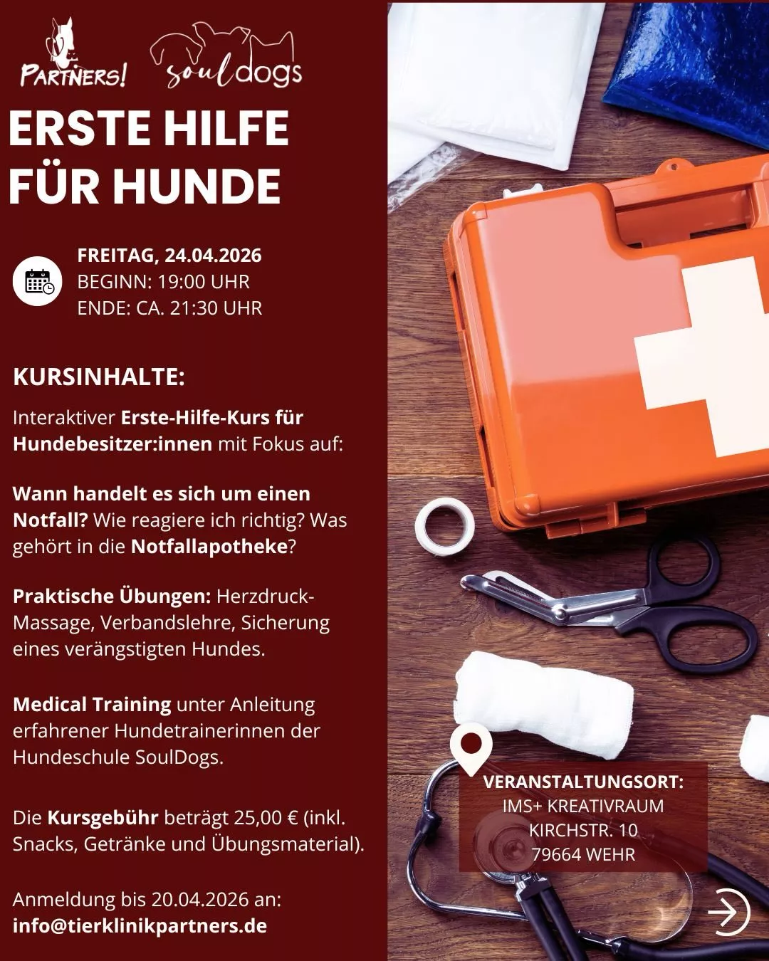Erste Hilfe Kurs für Hundebesitzer*innen in Wehr Erste Hilfe Kurs für Hundebesitzer*innen in Wehr