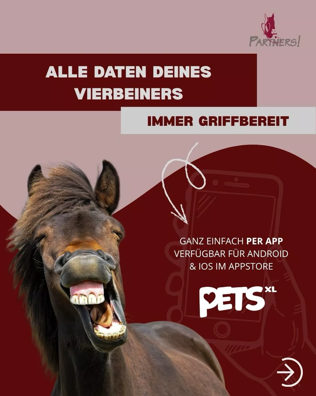 PETSXL: Alle medizinischen Daten deines Tieres immer griffbereit PETSXL: Alle medizinischen Daten deines Tieres immer griffbereit